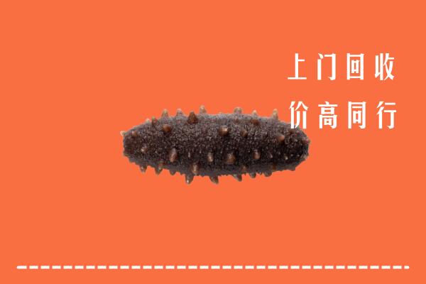 高价求购：冷水江市回收海参