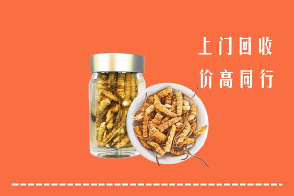 冷水江市回收冬虫夏草